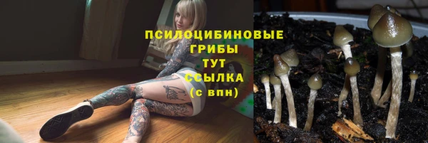 ALPHA-PVP Алексеевка