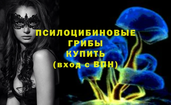 PSILOCYBIN Алзамай